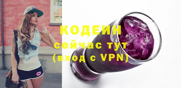 шишки Арсеньев