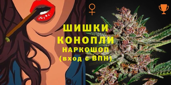 ешки Аркадак