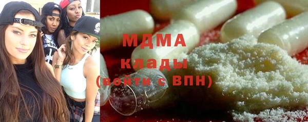 шишки Арсеньев