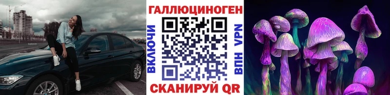 Псилоцибиновые грибы прущие грибы  Каспийск 