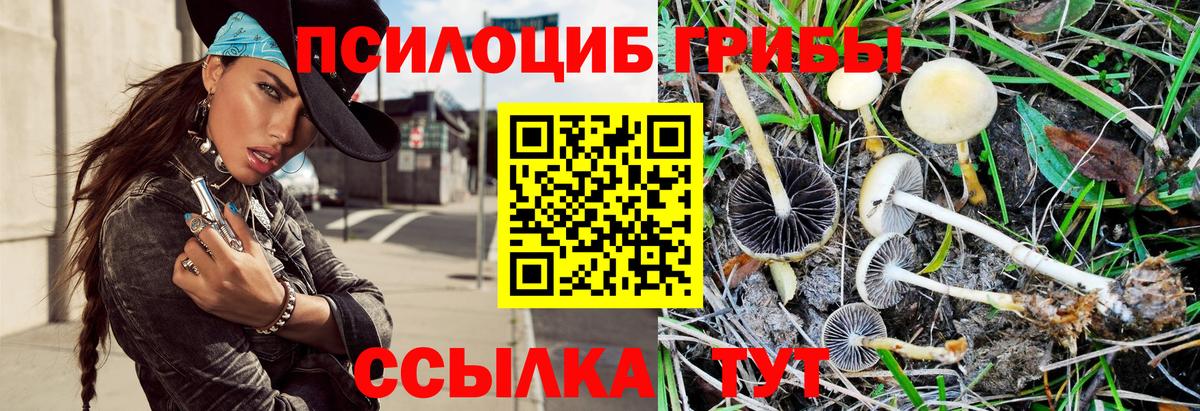 Каспийск  Галлюциногенные грибы мухоморы  Галлюциногенные грибы мицелий  Вход с VPN 