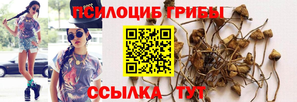 Галлюциногенные грибы мухоморы Каспийск